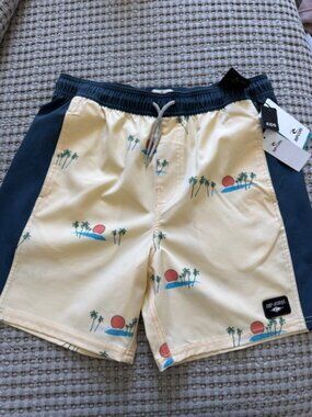 Rip Curl Boys Board Shorts
